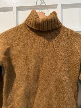 Everlane Men's Turtleneck Sweater in Camel